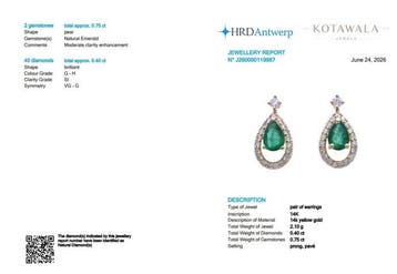 Oorbellen - 14 karaat Geel goud - 1.15ct. tw. Smaragd -