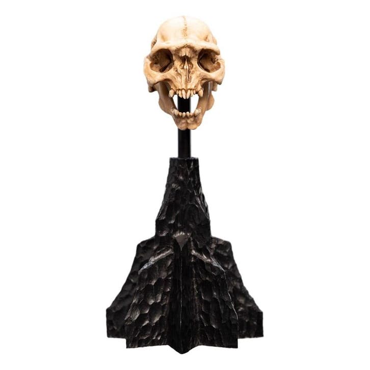 Lord of the Rings Mini Statue Skull of a Moria Orc 13 cm, Verzamelen, Lord of the Rings, Nieuw, Ophalen of Verzenden