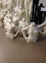 *TIP*  Dames torso headless, Ophalen of Verzenden