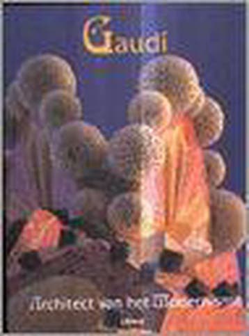 GAUDI. ARCHITECT VAN HET MODERNISME 9789057642791 L. Tolosa, Verzenden, Gelezen, L. Tolosa