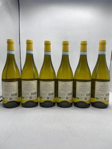 2024 Villa Bucci Verdicchio Dei Castelli Di Jesi Classico, Nieuw