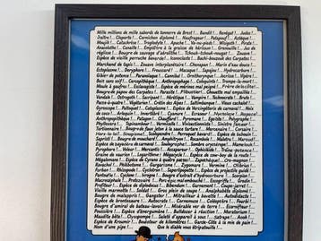 Tintin - Le poster des 220 jurons du Capitaine Haddock –, Nieuw