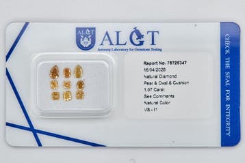 Zonder minimumprijs - 9 pcs Diamant (Natuurlijk) - 1.07 ct -, Nieuw