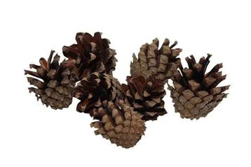 Dennenappels Silvester Naturel 200 gr, Nieuw