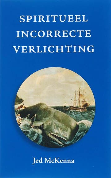 Spiritueel incorrecte verlichting 9789077228456 J. MacKenna, Boeken, Verzenden, Gelezen, J. MacKenna
