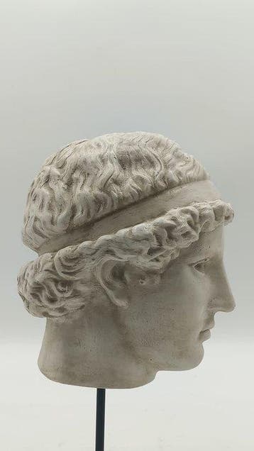 sculptuur, Testa di Atena - 34 cm - marmerpoeder