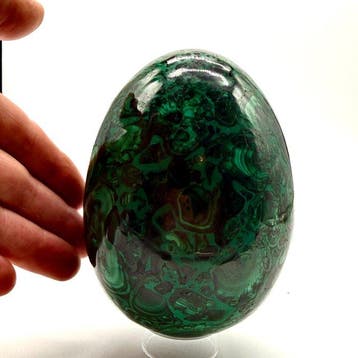 Groot formaat malachiet-ei - mineraal van eerste keus Ei -, Collections
