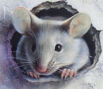 Gala - Mouse, hamster painting ~ Watcher ~