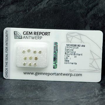 10 pcs Diamant (Couleur naturelle) - 1.04 ct - Rond - Fancy, Handtassen en Accessoires, Edelstenen, Nieuw