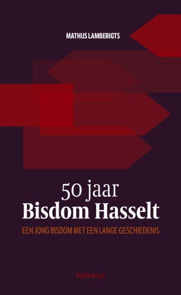 50 jaar bisdom Hasselt 9789085284376 Mathijs Lamberigts, Verzenden, Zo goed als nieuw, Mathijs Lamberigts
