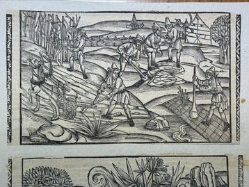 Johann Grüninger, Straßburg 1502 / Sebastian Brant - 2