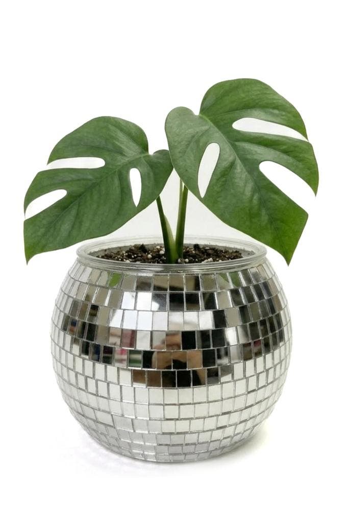 KIMU® Discobal Plantenpot Ø 12 cm Spiegeltjes Bloempot Bakje, Hobby & Loisirs créatifs, Articles de fête, Enlèvement ou Envoi