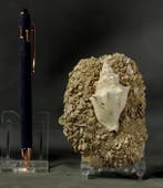 Uitzonderlijke fossiele schelp - op originele matrix -, Verzamelen, Mineralen en Fossielen