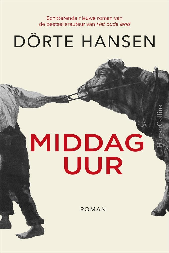 Middaguur (9789402702613, Dörte Hansen), Livres, Romans, Envoi
