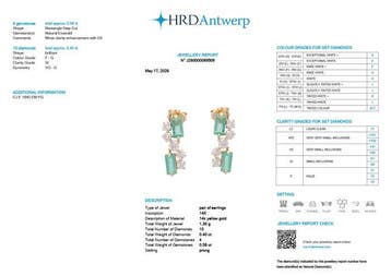 Cocktail oorbellen - 14 karaat Geel goud - 0.98ct. tw.