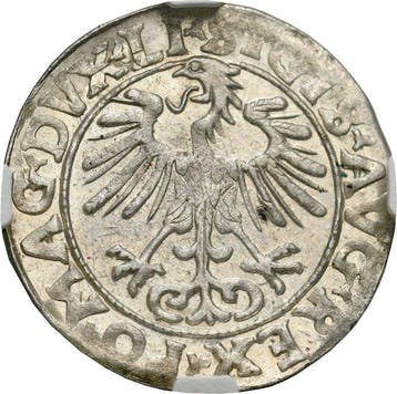 Polen, Litouwen. Segismundo II Augusto (1548-1572). 1/2
