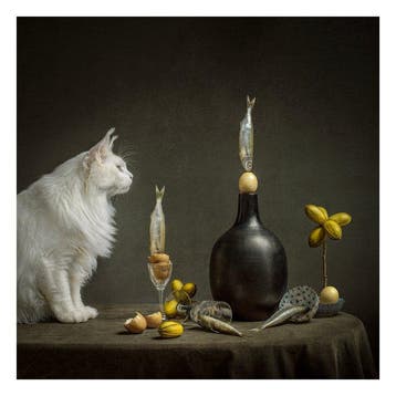 Elena Paraskeva - Le Chat Curieux