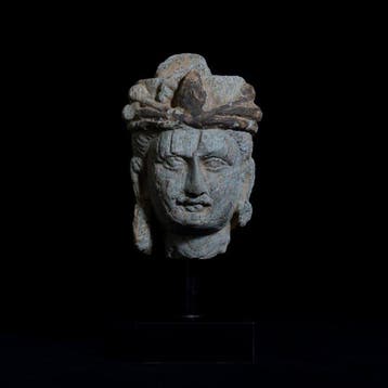 Gandhara Schist Hoofd van Bodhisattva - 2e–3e eeuw na, Verzamelen