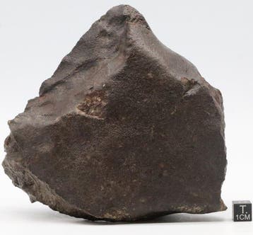Chondriet Chondrite meteoriet - 1602 g - (1), Verzamelen, Mineralen en Fossielen