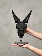 GEEN MINIMUMPRIJS - Zwarte geitenschedel uitgehouwen met