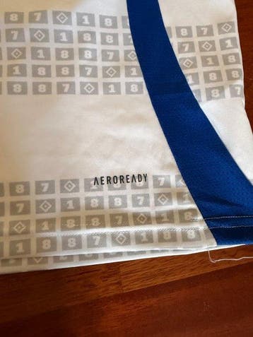 Hamburger SV - Duitse voetbalcompetitie - 2024 -, Nieuw