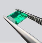 1 pcs Groen Smaragd - 1.68 ct - Gem research Swiss Lab (GRS)
