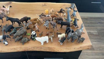 Schleich - Speelgoed figuur - 2020+