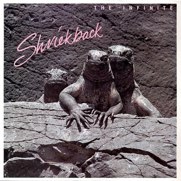 Shriekback - The Infinite, Cd's en Dvd's, Vinyl | Pop, Gebruikt, Verzenden