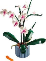 Lego Set - 10311 - Botanical Collection - Botanical