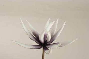 Cactus Flower Dark Purple Foam 16 cm 10 stuks