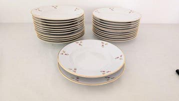 Richard Ginori - Tafelservies voor 12 (24) - Porselein -