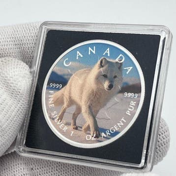 Canada. 5 Dollars 2026 – Silent Paws in the Arctic Snow – 1