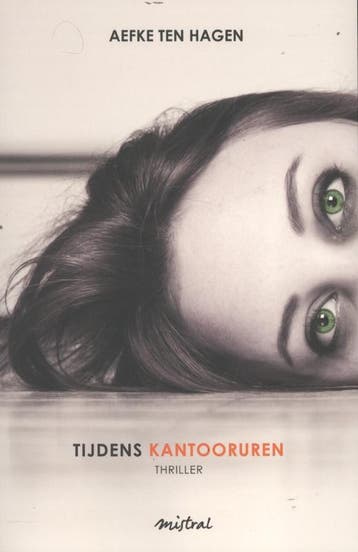 Tijdens kantooruren 9789049952747 Aefke ten Hagen, Verzenden, Aefke ten Hagen