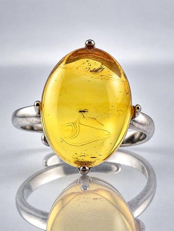 Bague éblouissante en ambre miel – Guêpe parasite au corps