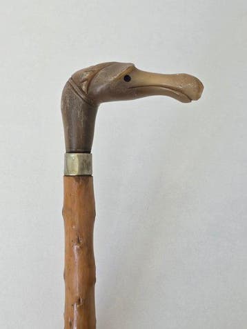 Uniek zeldzame Wandelstok - Hoorn, Hout - Vogel/Eenden kop