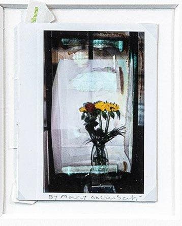 Maurizio Galimberti (1956–) - Studio Flowers - Signed &