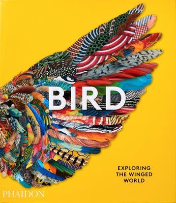 Bird | Phaidon Editors; Katrina Grouw; Jen Lobo | Nieuw, Verzenden, Nieuw, Phaidon Editors; Katrina Grouw; Jen Lobo