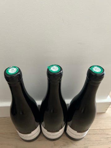 2023 Morey-Coffinet Les Houillères - Chassagne-Montrachet, Nieuw