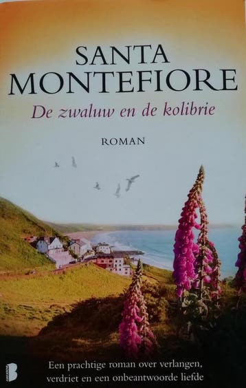 De zwaluw en de kolibrie 9789022565827 Santa Montefiore, Boeken, Verzenden, Gelezen, Santa Montefiore