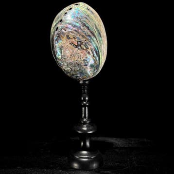 Decoratief ornament - NO RESERVE PRICE - Stunning pair of