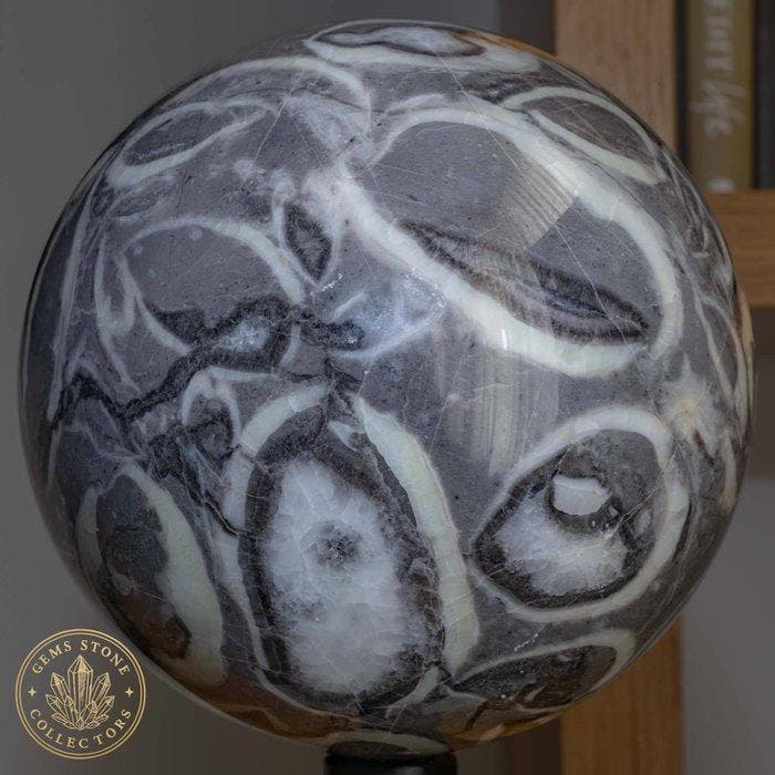 schelpsteen Bol van schelpensteen van hoge kwaliteit -, Verzamelen, Mineralen en Fossielen
