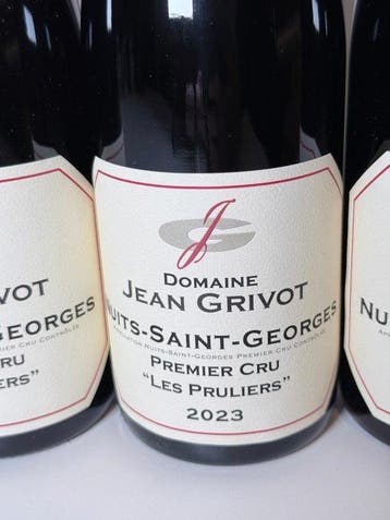2023 Domaine Jean Grivot Les Pruliers - Nuits St. Georges, Verzamelen, Nieuw