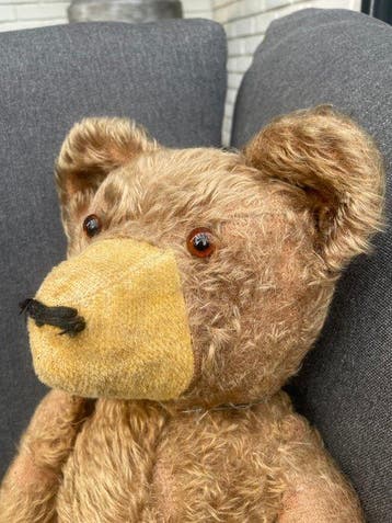 Hermann - Ours en peluche Hermann - 1920-1930 - Allemagne