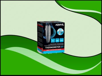 Thermometer BT (Thermometers, Accessoires), Dieren en Toebehoren, Verzenden, Nieuw, Verlichting of Verwarming