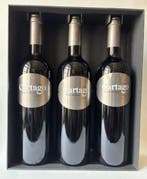 2015 Bodegas San Román Cartago Paraje del Pozo - Toro - 3, Nieuw