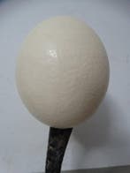 Tafelmiddenstuk - Struisvogelei - Ostrich Egg 31 cm hoog