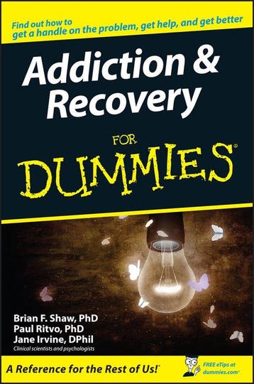Addiction and Recovery For Dummies 9780764576256 Paul Ritvo, Verzenden, Gelezen, Paul Ritvo