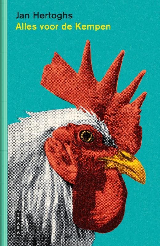 Alles voor de Kempen 9789022340073 Jan Hertoghs, Boeken, Literatuur, Zo goed als nieuw, Verzenden