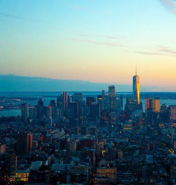 David Law - New York V