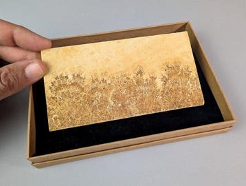 Solnhofen dendrite de manganèse dalle - Hauteur : 14.6 cm -